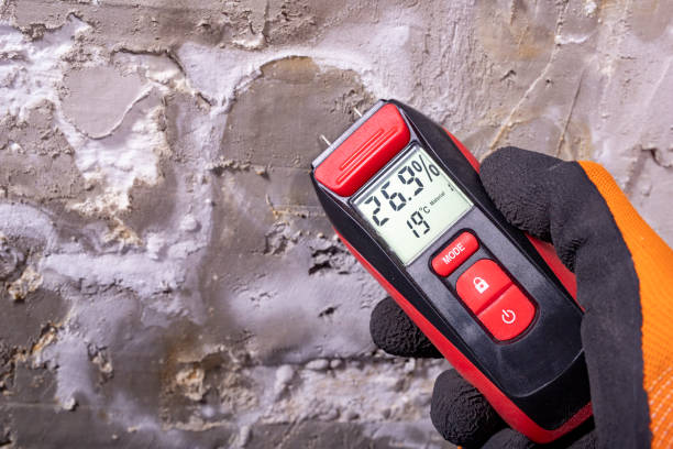 Best Crawl Space Mold Remediation in Anaconda, MT